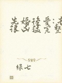 先婚后爱:老公很凶猛完整版免费阅读