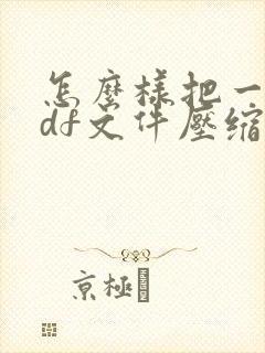 怎么样把一个pdf文件压缩到最小