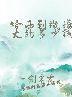 哈西到机场打车大约多少钱