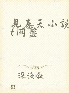 见春天小说txt网盘