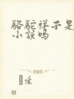 骆驼祥子是长篇小说吗