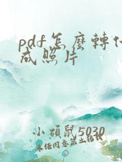 pdf怎么转化成照片