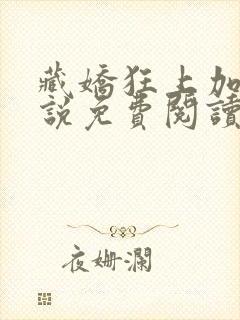 藏娇狂上加狂小说免费阅读