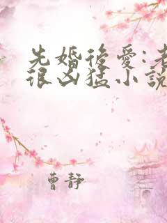 先婚后爱:老公很凶猛小说全文免费