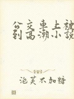 公交车上被人摸到高潮小说