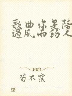 歌曲你是陪我走过风雨的人简谱