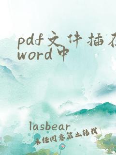 pdf文件插在word中