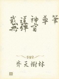 武道神尊笔趣阁无弹窗
