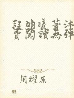 段明曦萧沐宸免费阅读无弹窗