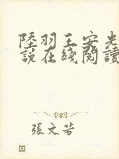 陆羽王安光的小说在线阅读无弹窗
