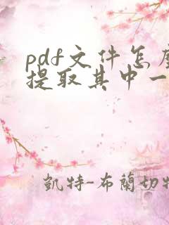 pdf文件怎么提取其中一页