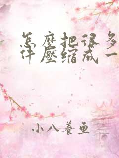 怎么把很多个文件压缩成一个压缩包