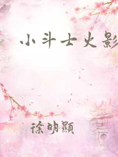 小斗士火影版