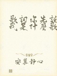 歌词你先说的爱我是什么歌曲