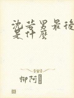 沈若男最后结局是什么