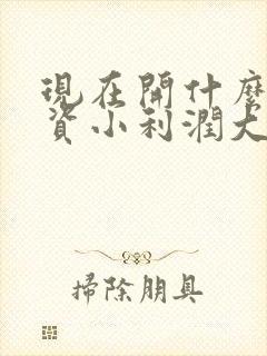 现在开什么店投资小利润大