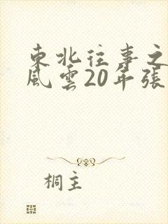 东北往事之黑道风云20年张岳结局