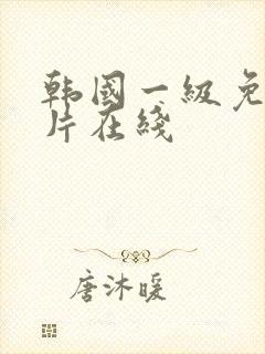 韩国一级免费淫片在线