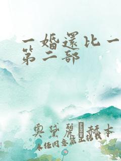 一婚还比一婚高第二部
