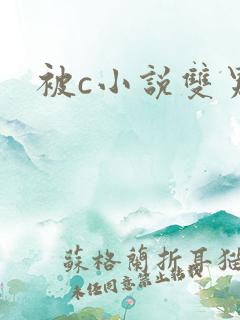被c小说双男