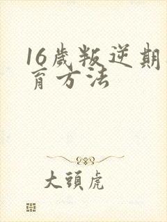 16岁叛逆期教育方法