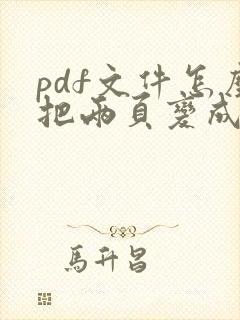 pdf文件怎么把两页变成一页