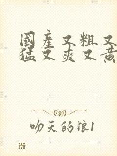 国产又粗又深又猛又爽又黄视频