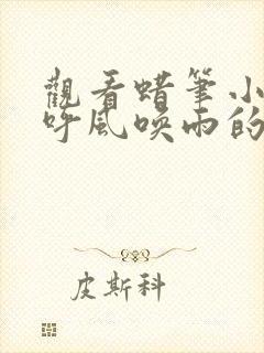 观看蜡笔小新 呼风唤雨的我的新娘正版