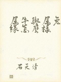 属牛与属兔的姻缘怎么样