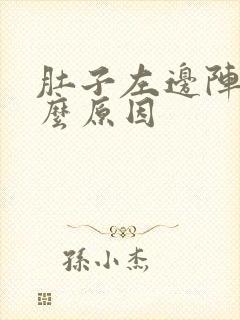 肚子左边阵痛什么原因