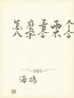 怎么看两个人的八字合不合
