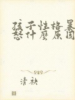 孩子性格暴躁易怒什么原因
