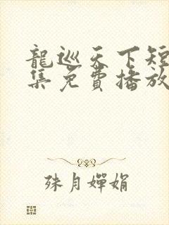 龙巡天下短剧全集免费播放
