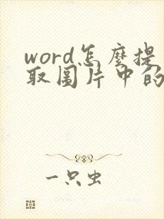 word怎么提取图片中的表格