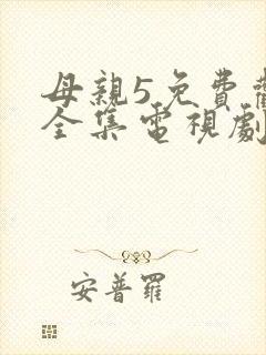 母亲5免费观看全集电视剧韩剧网
