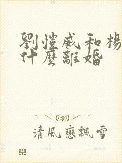 刘恺威和杨幂为什么离婚
