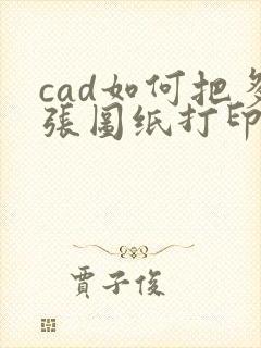 cad如何把多张图纸打印成一个pdf
