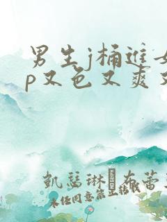 男生j桶进女人p又色又爽又黄