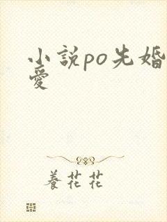 小说po先婚后爱