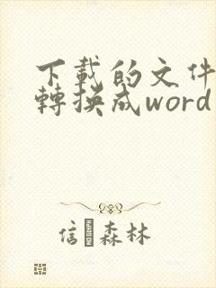 下载的文件如何转换成word