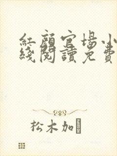 红颜官场小说在线阅读免费