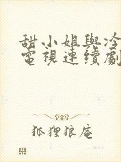 甜小姐与冷先生电视连续剧