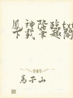 凤神降临txt下载笔趣阁