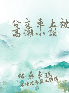 公交车上被插到高潮小说