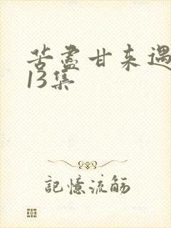 苦尽甘来遇见你13集