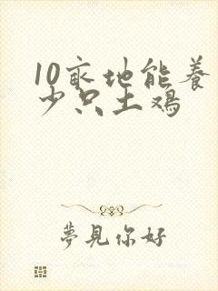 10亩地能养多少只土鸡