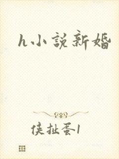 h小说新婚