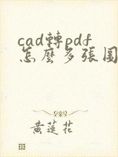 cad转pdf怎么多张图纸在一个