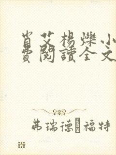 肖艾杨烁小说免费阅读全文