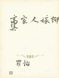 高家人嫁柳家1集